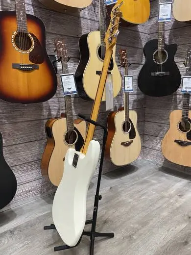 Squier - 037-4510-505 2